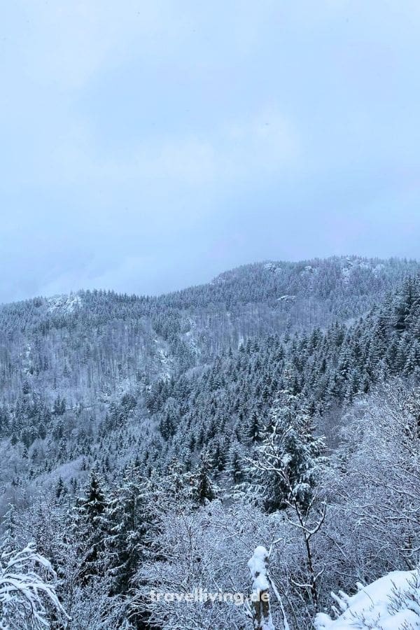 Aussicht vom Wiedenfelsen im Winter auf verschneite Bäume