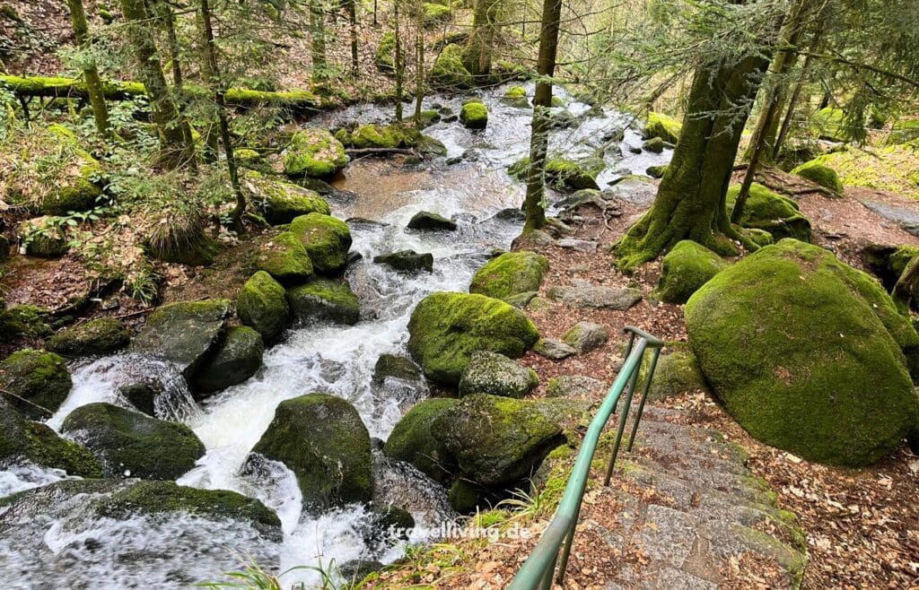 Wanderung entlang der Gertelbach Wasserfälle im Schwarzwald mit Blick auf den Bachlauf