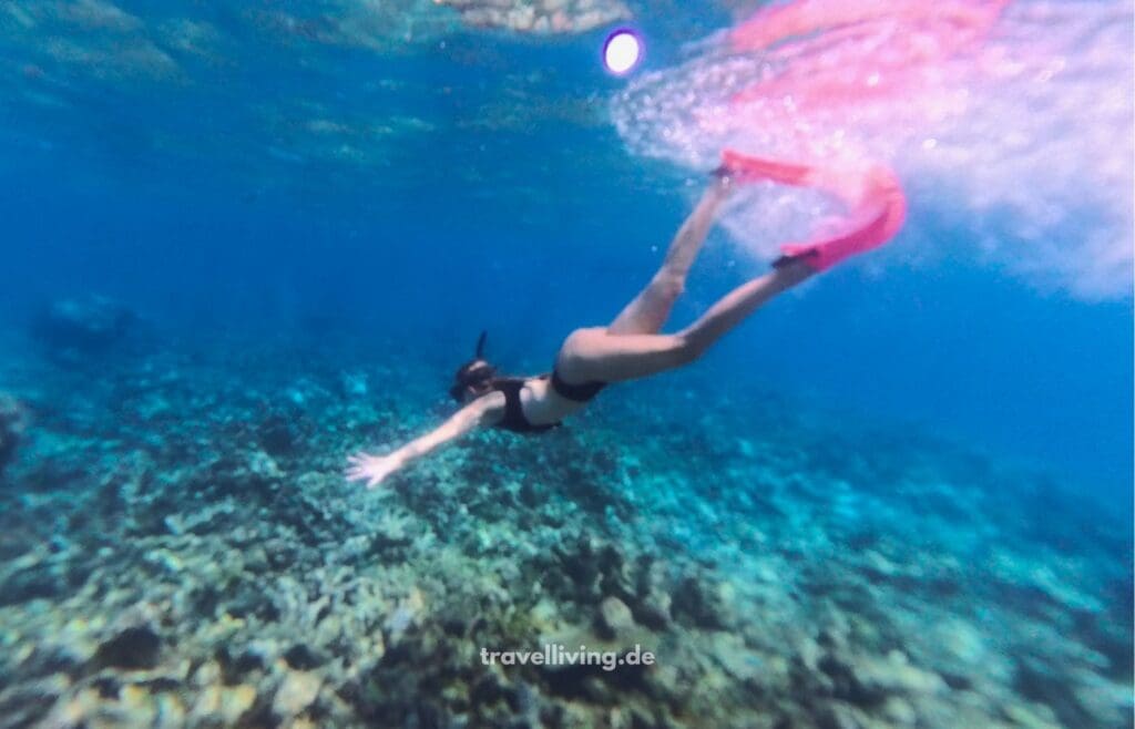 Schnorcheln über dem Korallenriff im South Ari Atoll nahe Dhigurah Malediven